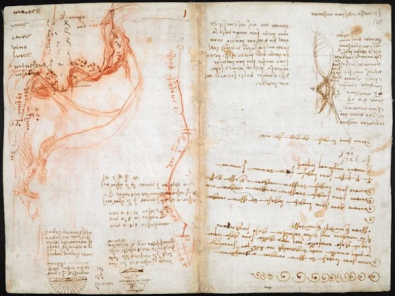 Treize mille pages pour un seul esprit : voyage au cœur des carnets de Léonard de Vinci